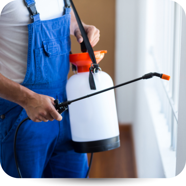 pest control provider spraying for bugs