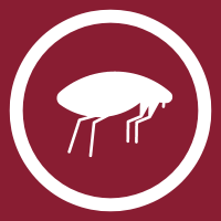 flea control icon
