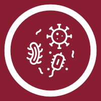 fungus icon