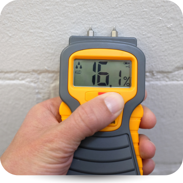 moisture meter reading