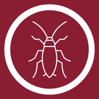 roach icon