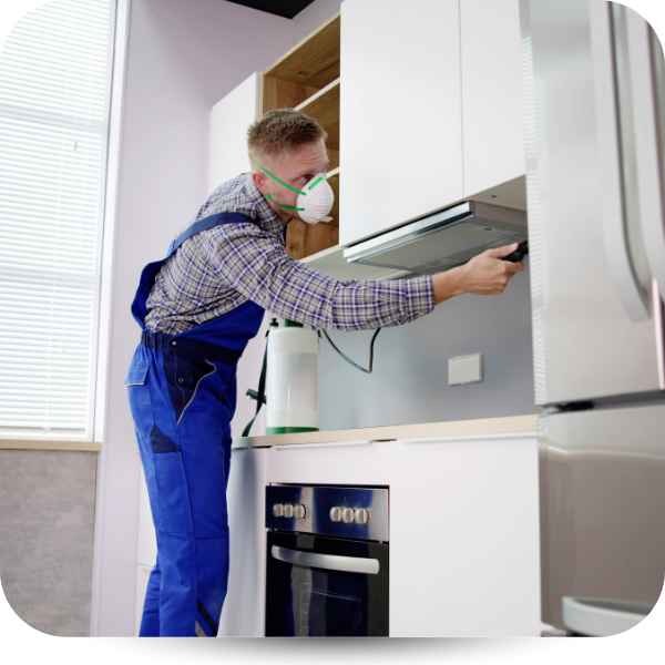 Termite Pest Control Insect Service 
